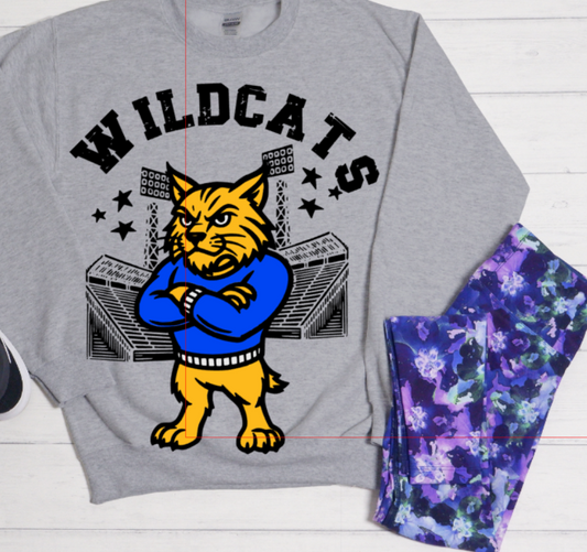 Wildcats Stadium
